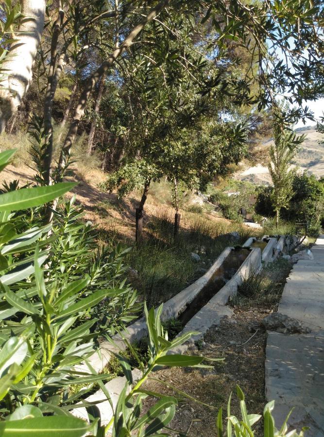 Casa Montelucia مونتيهمورتو المظهر الخارجي الصورة